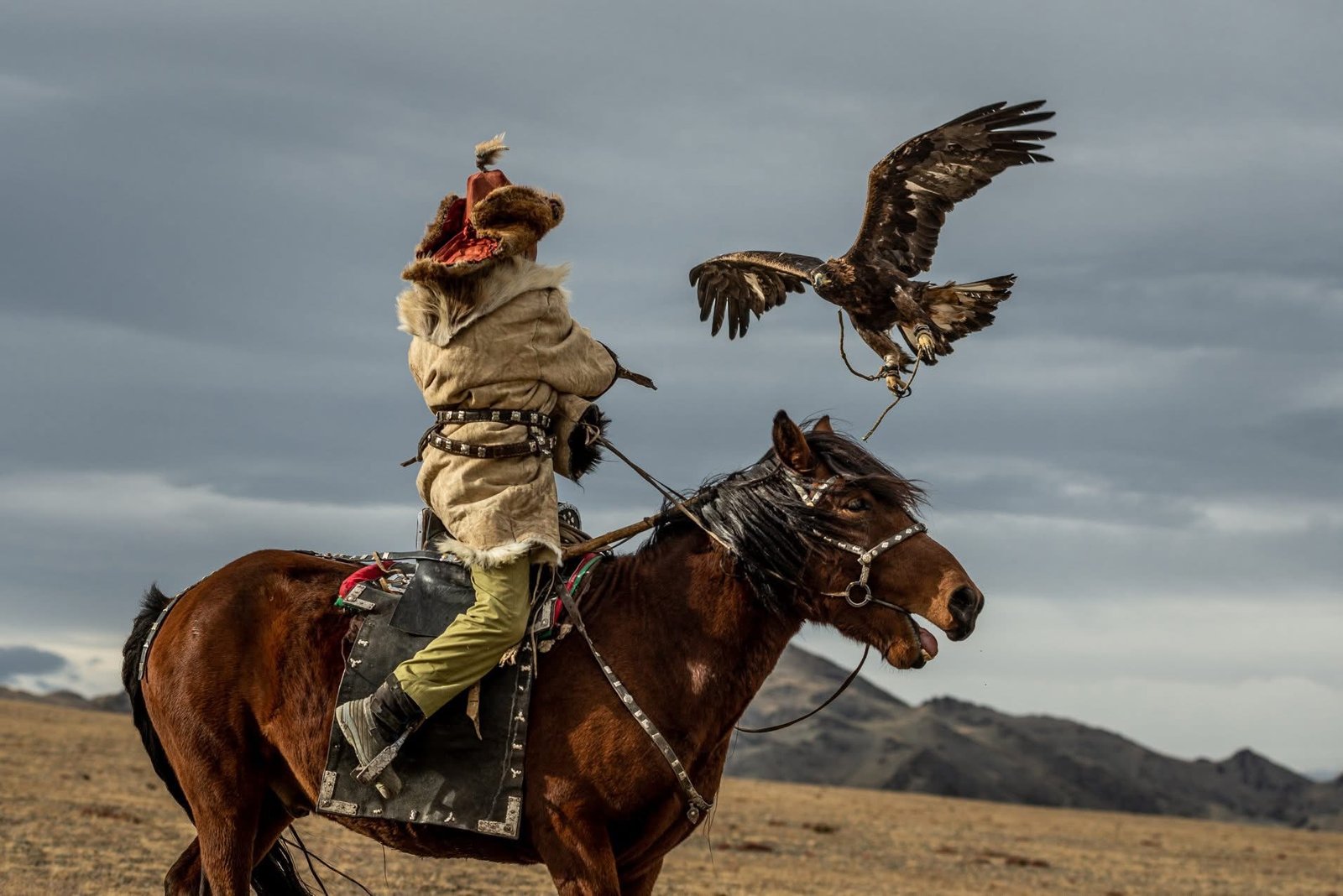 Eagle hunter on horseback